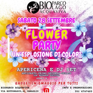 Flower Party: un'esplosione di colori