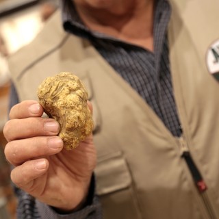 In corso la Fiera Internazionale del Tartufo Bianco d’Alba