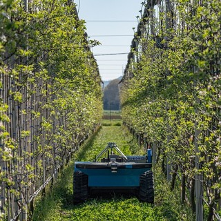 Manta, al Centro per la Frutticoltura il convegno su nuove tecnologie e strategie future