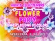 Flower Party: un'esplosione di colori