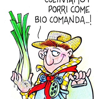 Cervere, dove si coltivano i porri... come &quot;bio&quot; comanda