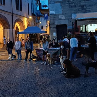 La prima edizione di Expo Canina di Garessio è stata un successo: il 30 luglio si replica