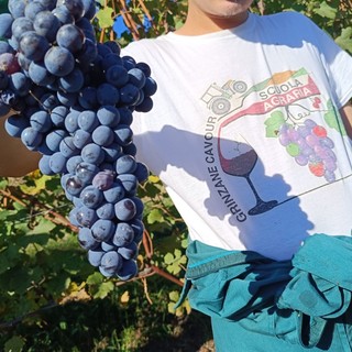 Scuola Agraria di Grinzane Cavour: dopo la raccolta delle nocciole conclusa anche la vendemmia