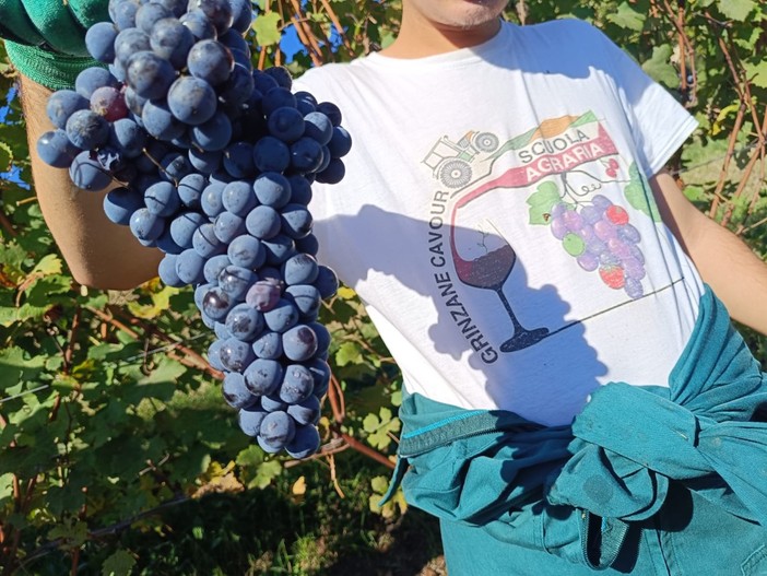 Scuola Agraria di Grinzane Cavour: dopo la raccolta delle nocciole conclusa anche la vendemmia