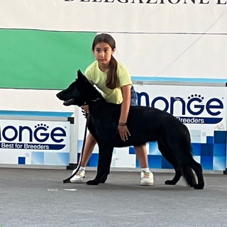 Bra, un successo l’esposizione internazionale canina di domenica 14 luglio in piazza Giolitti