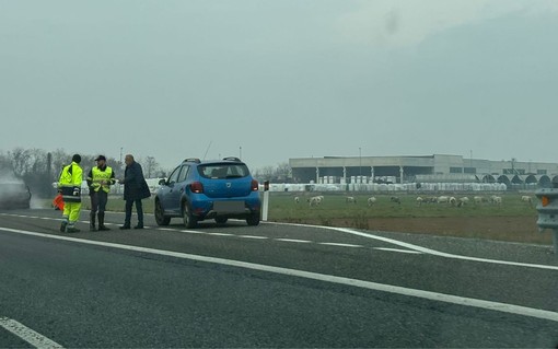 Auto a fuoco sull'A6 tra Marene e Carmagnola: vigili del fuoco sul posto