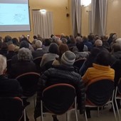 Cuneo, sold out l'incontro degli ambientalisti sul restyling &quot;alternativo&quot; di piazza Europa: ecco come sarebbe, se i cedri venissero mantenuti