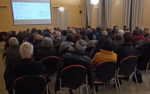 Cuneo, sold out l'incontro degli ambientalisti sul restyling &quot;alternativo&quot; di piazza Europa: ecco come sarebbe, se i cedri venissero mantenuti