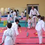 Giovani Judoka in azione: equilibrio, agilità e coordinazione al Judo Kodokan Cuneo