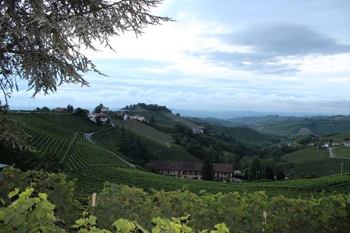 Le Langhe