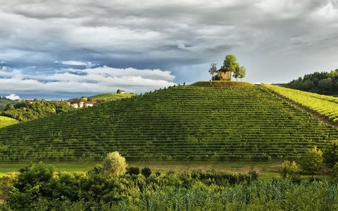 Premiato dal Ministero dell’Agricoltura con oltre 3 milioni di euro il Distretto del Cibo del Roero [VIDEO]