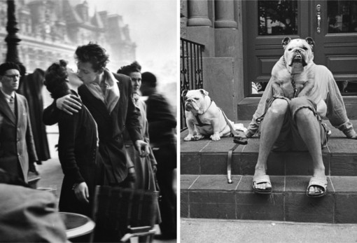 La fotografia del '900 protagonista dell'autunno cuneese: le mostre di Doisneau e Caraglio e di Erwitt a Saluzzo