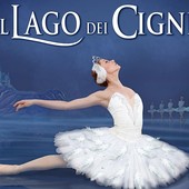 Il Lago dei Cigni in programma al Teatro Toselli di Cuneo