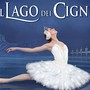 Il Lago dei Cigni in programma al Teatro Toselli di Cuneo