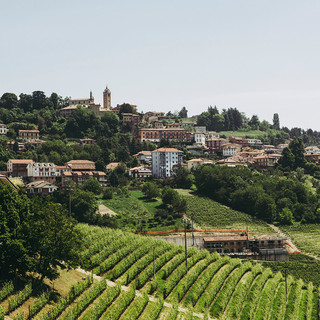 Una veduta di Monforte d'Alba (Foto di Barbara Guazzone)