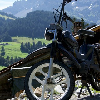 Scegliere la Mountain Bike Giusta: una guida alle marche e alle caratteristiche