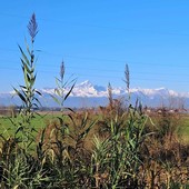 Foto: Piergiorgio Dellagiulia