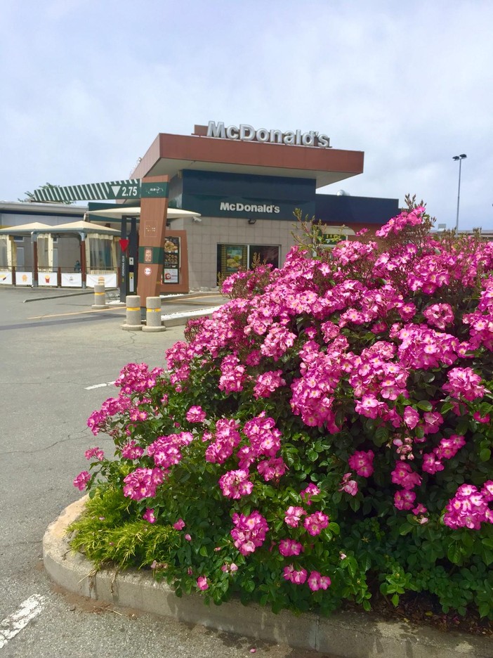 Una “seconda chance” a Fossano: il riscatto attraverso un progetto lavorativo al McDonald’s