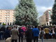 Cuneo, venerdì “I cedri rimangono”: in piazza (Europa) ambientalisti e residenti contro l’abbattimento delle piante monumentali