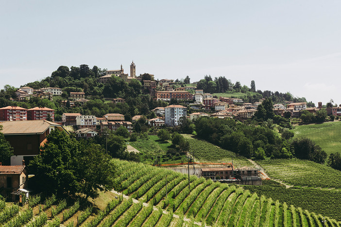 Una veduta di Monforte d'Alba (Foto di Barbara Guazzone)