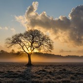 Antivigilia di Natale con il Foehn, poi sole (fino alla fine dell'anno?)