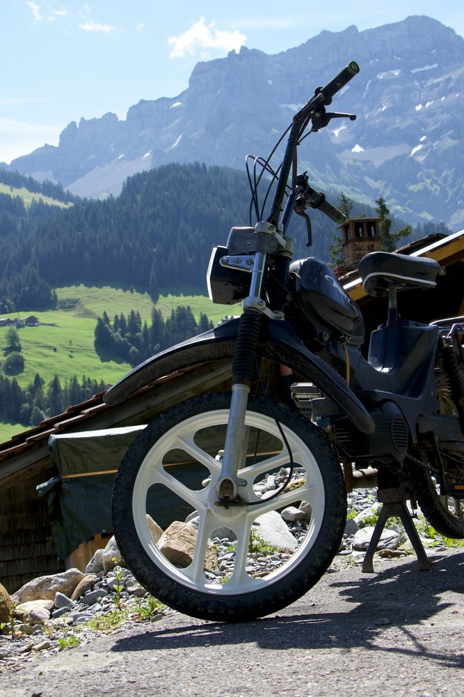 Scegliere la Mountain Bike Giusta: una guida alle marche e alle caratteristiche