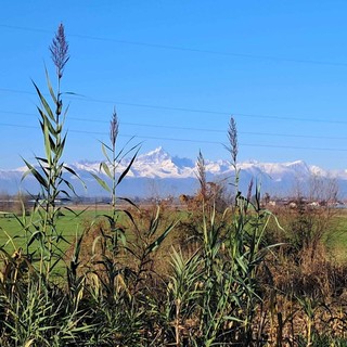 Foto: Piergiorgio Dellagiulia