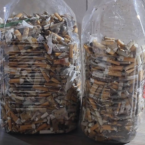 Plasticfree Cuneo organizza a Fossano una raccolta di mozziconi