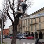 Le operazioni di taglio degli alberi