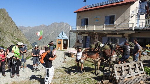 Al Cinema Monviso di Cuneo il docu-film &quot;Il ritorno del mulo da trasporto&quot;