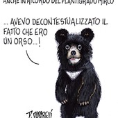 Anche l'orso Mirco vuole la riqualificazione dei giardini Fresia di Cuneo?