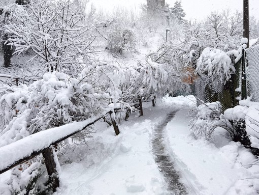 Quaranta (Acda): &quot;Questa neve è preziosa, ma l'allarme resta alto&quot;