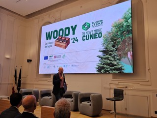 Il convegno Woody 2024 in COnfindustria Cuneo