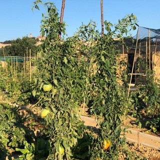 Al via la nuova campagna di assegnazione degli orti urbani a Mondovì