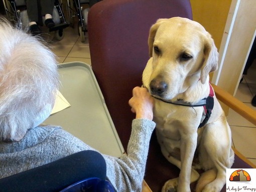 La Lilt porta la pet-therapy in Hospice a Busca