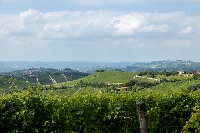 Panorama Langa del Barbaresco (Archivio Ente Turismo Langhe Monferrato Roero)