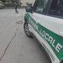 Per la Polizia Locale di Dogliani un’attività costante e mirata su più fronti