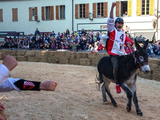 Il Palio degli Asini 2024 negli scatti di Mauro Gallo