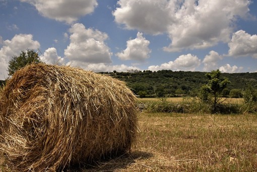 Le Più Belle Masserie Pugliesi