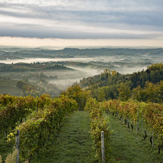 Turismo in Langhe Monferrato Roero: 85 mila visitatori nei punti di accoglienza e una strategia per il futuro