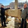 Pietro Baralla e Fabio Bottero a Ceva