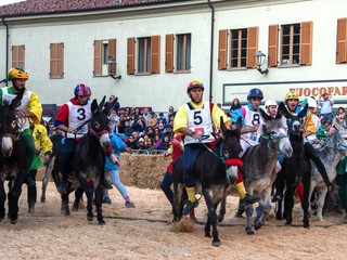 Il Palio degli Asini 2024 negli scatti di Mauro Gallo