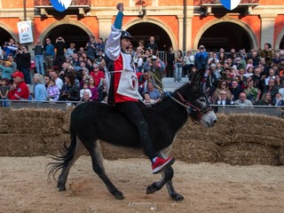 Il Palio degli Asini 2024 negli scatti di Mauro Gallo