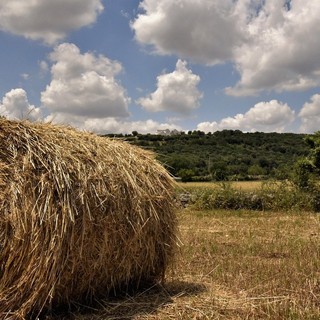 Le Più Belle Masserie Pugliesi