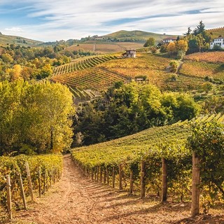 Fotovoltaico e agrivoltaico: dalla Regione misure più restrittive per salvaguardare il paesaggio delle colline Unesco