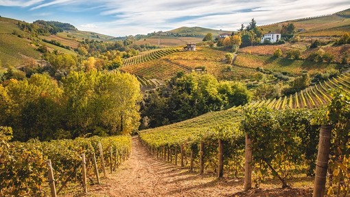 Fotovoltaico e agrivoltaico: dalla Regione misure più restrittive per salvaguardare il paesaggio delle colline Unesco