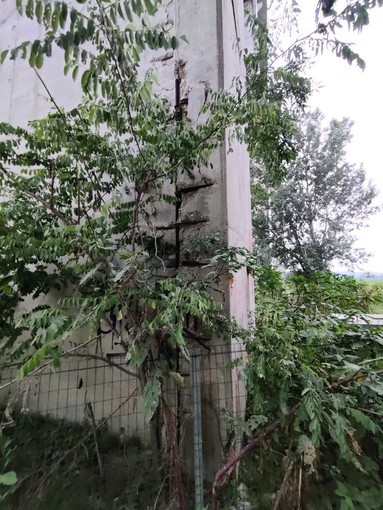 Fossano, Autostrada dei Fiori chiarisce sul ponte &quot;Romano&quot;: &quot;Deterioramento superficiale, la struttura è sicura&quot;