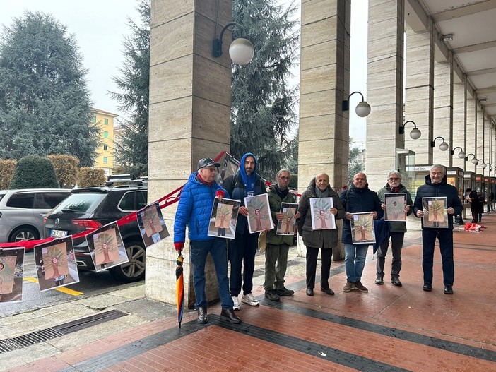 Cuneo, il bene che fanno i cedri dell’Atlante: in piazza Europa i pannelli esplicativi di Maurizio Di Felice