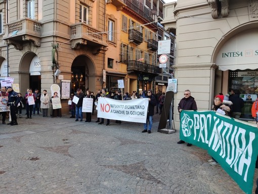 Una manifestazione del Comitato contro l'impianto