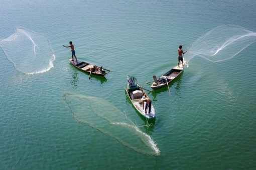 Le reti da pesca: quali sono, come funzionano e come catturano le prede